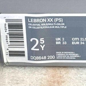 Boys Lebron XX basketball shoes